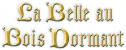 Loungefly La Belle au Bois Dormant [Disney]
