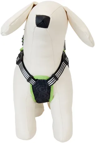 Harnais pour chien Beetlejuice Cosplay Loungefly