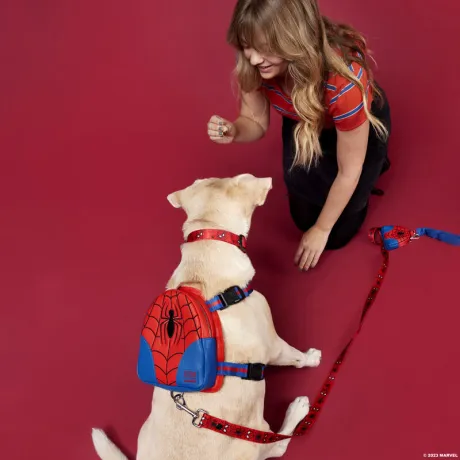 Harnais pour chien Mini sac à dos Spider-Man Cosplay Loungefly