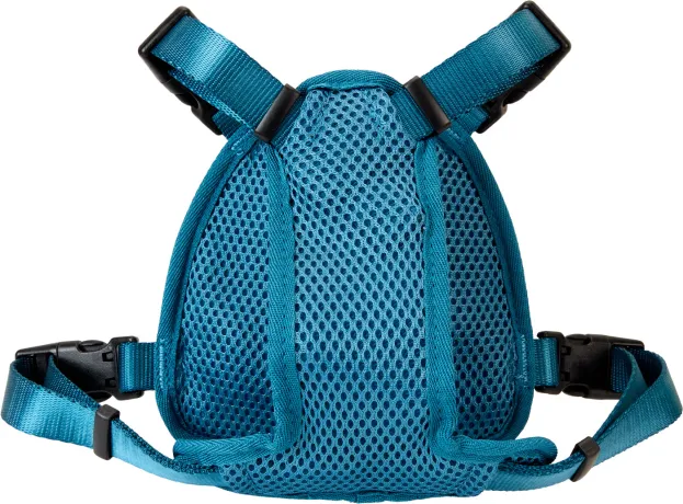 Harnais pour chien Poudlard Loungefly