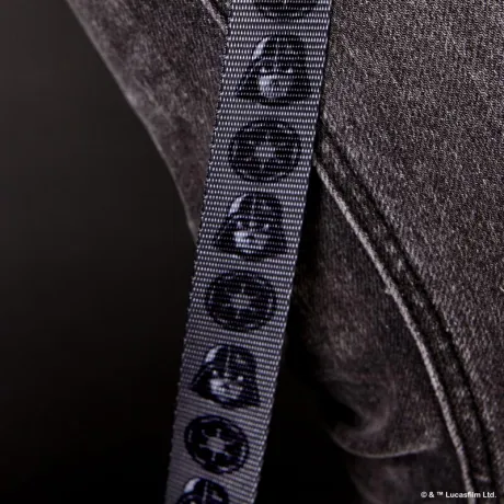 Laisse pour chien Dark Vador Loungefly