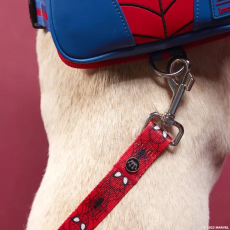 Laisse pour chien Spider-Man Loungefly
