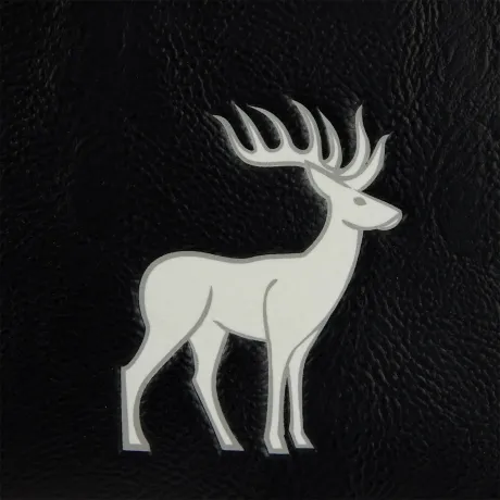 Mini sac à dos Détraqueurs de la Forêt ? Loungefly