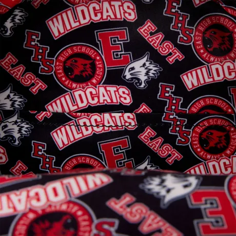 Mini sac à dos Troy Bolton Maillot Wildcats Loungefly