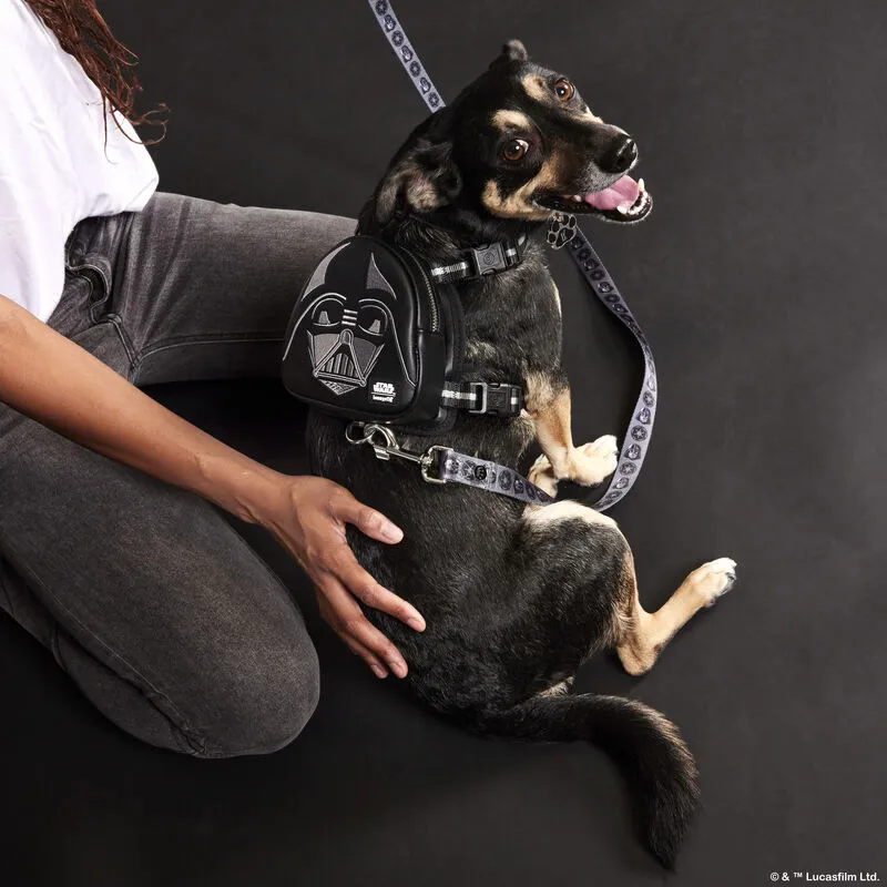 Collections Loungefly pour chiens Star Wars
