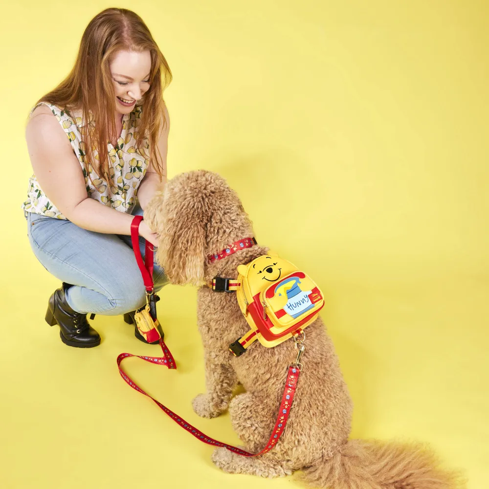 Collections Loungefly pour chiens Disney